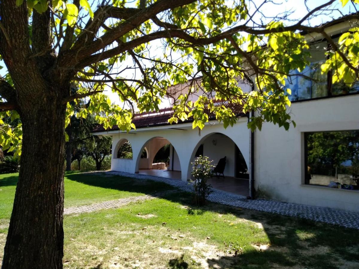 Montefiore Conca"Cara Pace" In Collina Per Famiglie住宿加早餐旅馆 外观 照片