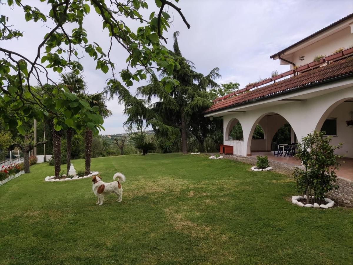 Montefiore Conca"Cara Pace" In Collina Per Famiglie住宿加早餐旅馆 外观 照片