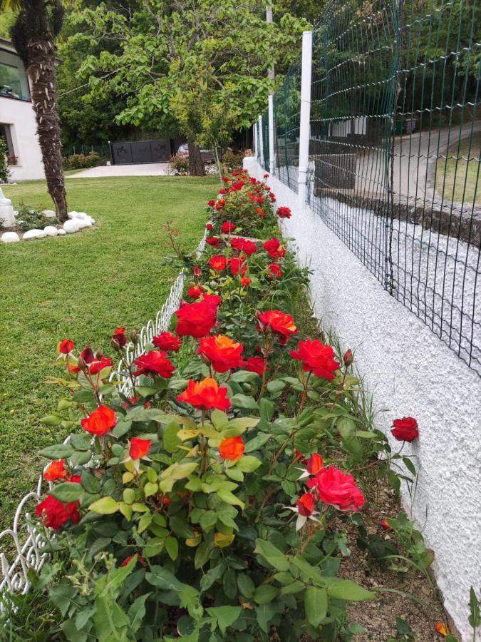Montefiore Conca"Cara Pace" In Collina Per Famiglie住宿加早餐旅馆 外观 照片