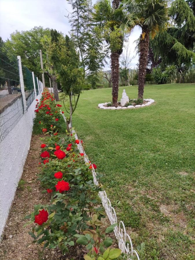 Montefiore Conca"Cara Pace" In Collina Per Famiglie住宿加早餐旅馆 外观 照片